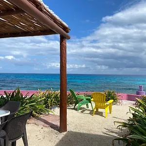 book here
