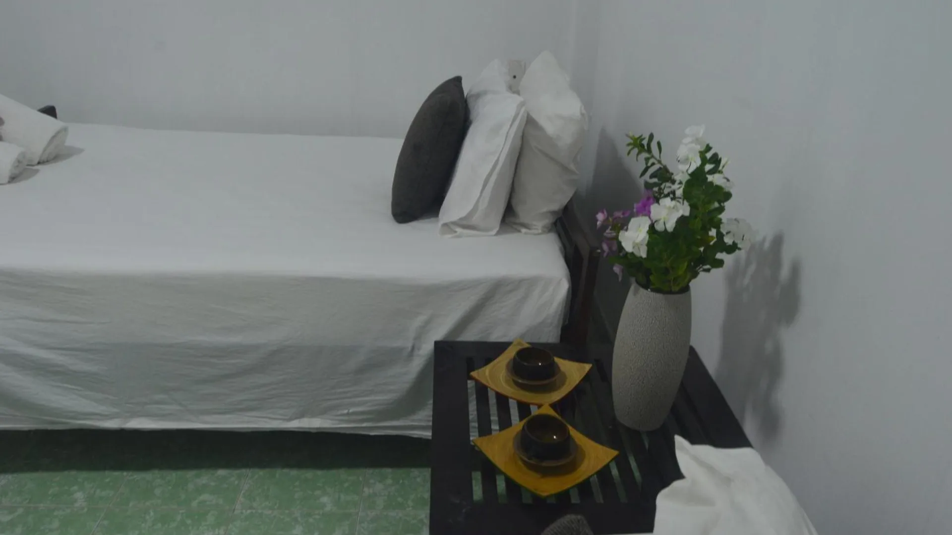 Hoi An Viet House Homestay 0*, הוי אן